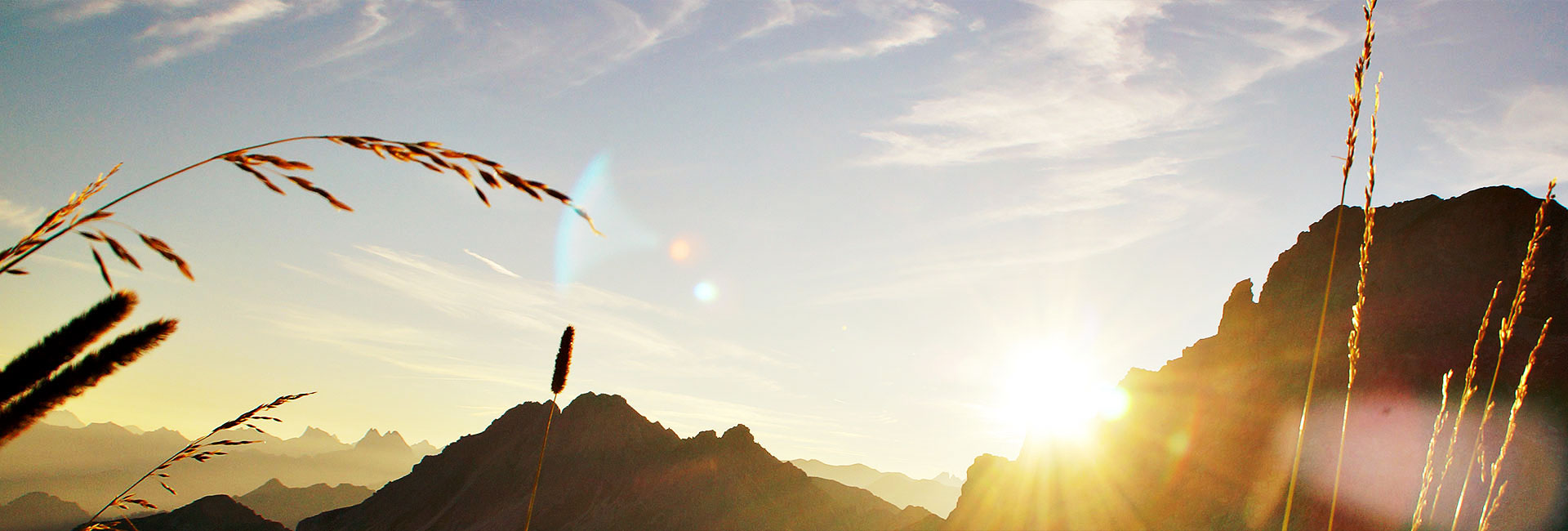 Seite nicht gefunden